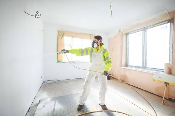 Best Mold Damage Restoration  in Chicago Heights, IL