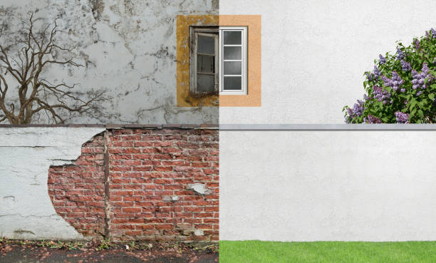 Best Air Quality Testing for Mold Spores  in Chicago Heights, IL