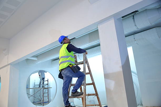 Best Crawl Space Mold Remediation  in Chicago Heights, IL